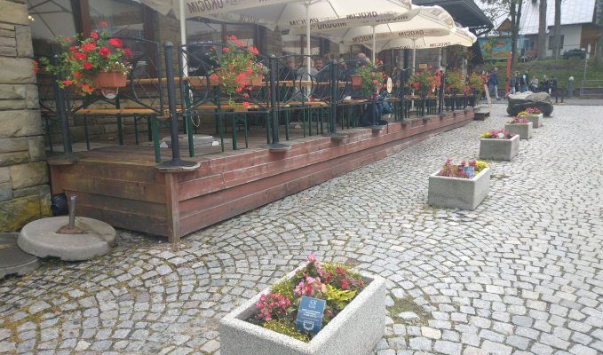 donice-zaadoptowane-przez-spolke-polskie-tatry-s-a_f