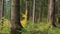 odnowienie-regla-dolnego.1_f