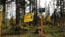 odnowienie-regla-dolnego_f